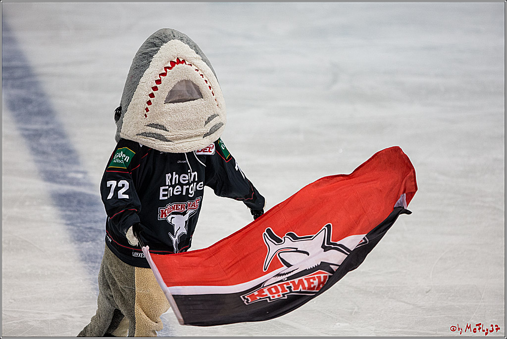 DEL, Koelner Haie - Augsburger Panther, 13.01.2017